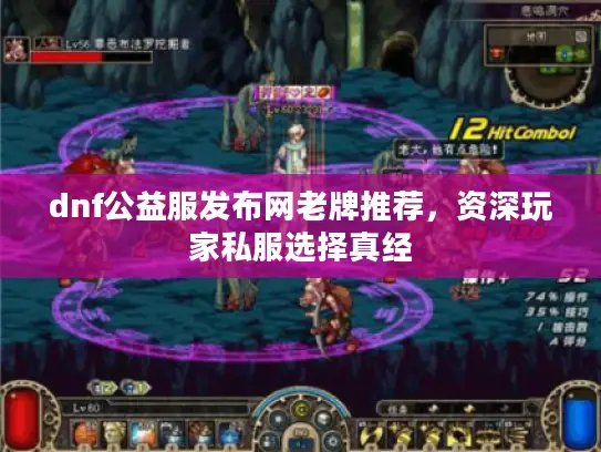 dnf公益服发布网老牌推荐，资深玩家私服选择真经