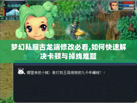 梦幻私服古龙端修改必看,如何快速解决卡顿与掉线难题 梦幻私服古龙端修改必看,如何快速解决卡顿与掉线难题