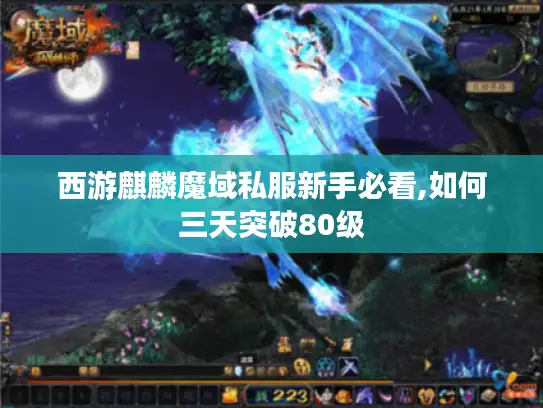 西游麒麟魔域私服新手必看,如何三天突破80级