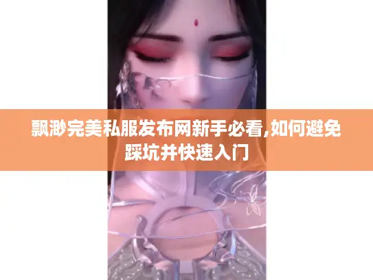 飘渺完美私服发布网新手必看,如何避免踩坑并快速入门