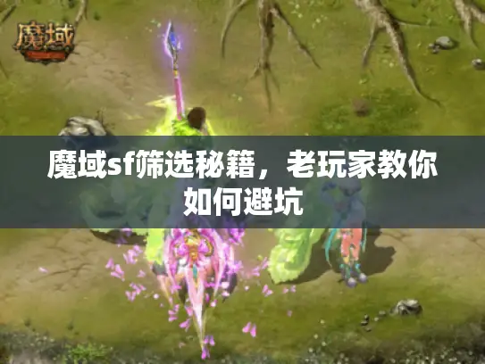 魔域sf筛选秘籍，老玩家教你如何避坑
