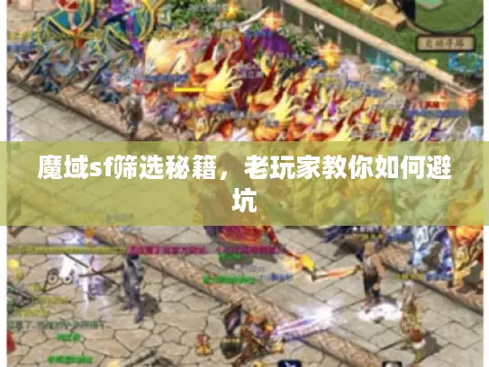 魔域sf筛选秘籍，老玩家教你如何避坑