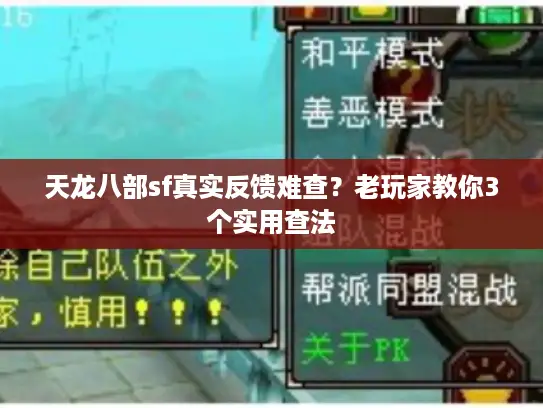 天龙八部sf真实反馈难查?老玩家教你3个实用查法 天龙八部sf真实反馈难查?老玩家教你3个实用查法