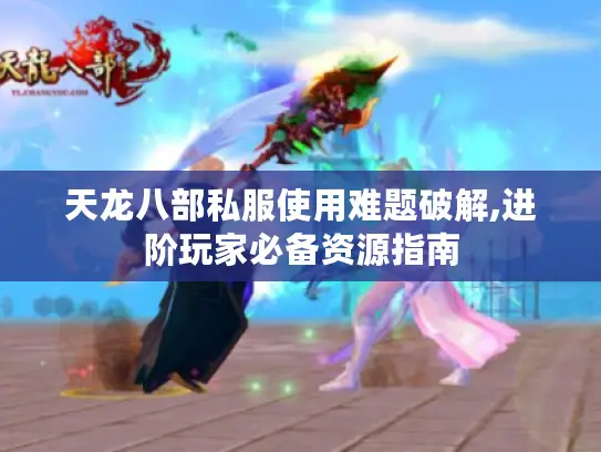 天龙八部私服使用难题破解,进阶玩家必备资源指南