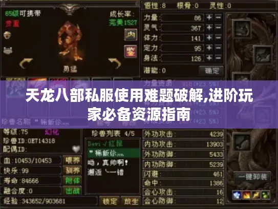 天龙八部私服使用难题破解,进阶玩家必备资源指南