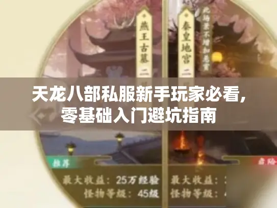 天龙八部私服新手玩家必看,零基础入门避坑指南