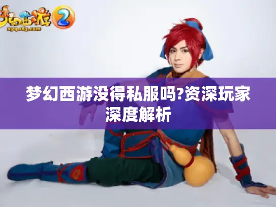 梦幻西游没得私服吗?资深玩家深度解析