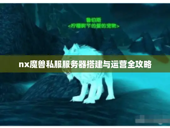 nx魔兽私服服务器搭建与运营全攻略