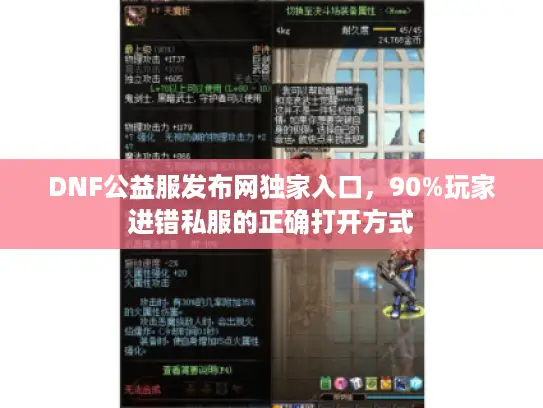 DNF公益服发布网独家入口，90%玩家进错私服的正确打开方式