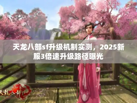 天龙八部sf升级机制实测,2025新服3倍速升级路径曝光 天龙八部sf升级机制实测,2025新服3倍速升级路径曝光