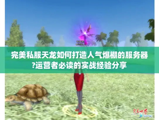 完美私服天龙如何打造人气爆棚的服务器?运营者必读的实战经验分享