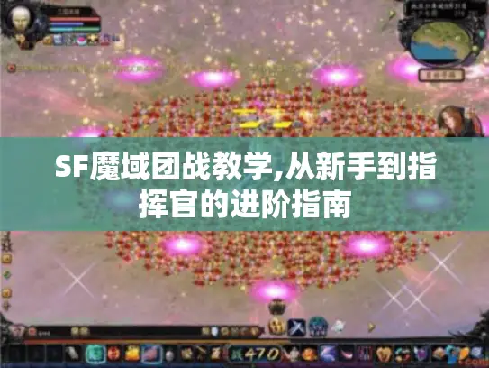 SF魔域团战教学,从新手到指挥官的进阶指南