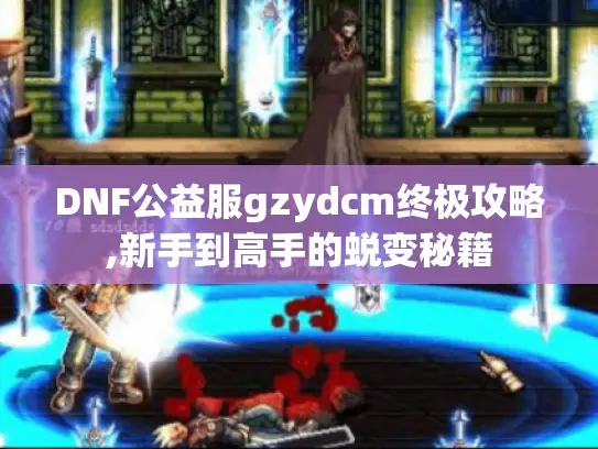 DNF公益服gzydcm终极攻略,新手到高手的蜕变秘籍