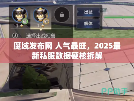 魔域发布网 人气最旺，2025最新私服数据硬核拆解