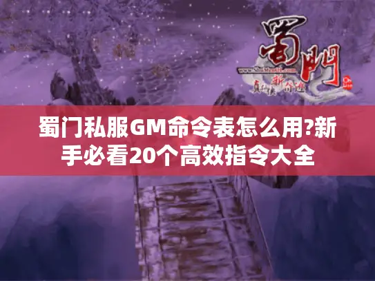 蜀门私服GM命令表怎么用?新手必看20个高效指令大全