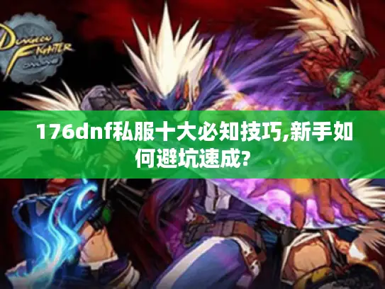 176dnf私服十大必知技巧,新手如何避坑速成?
