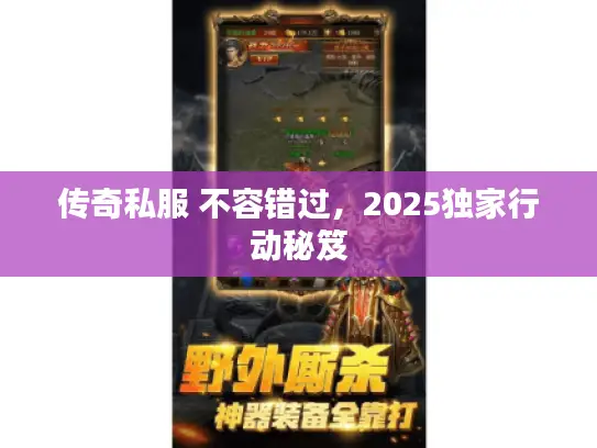 传奇私服 不容错过,2025独家行动秘笈 传奇私服 不容错过,2025独家行动秘笈