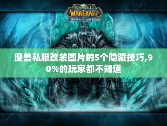 魔兽私服改装图片的5个隐藏技巧,90%的玩家都不知道