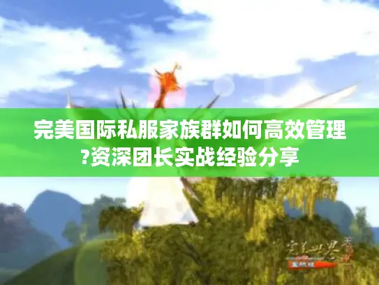 完美国际私服家族群如何高效管理?资深团长实战经验分享 完美国际私服家族群如何高效管理?资深团长实战经验分享
