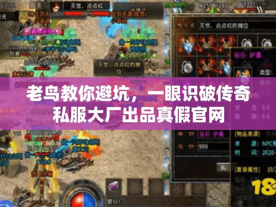 老鸟教你避坑，一眼识破传奇私服大厂出品真假官网