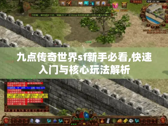 九点传奇世界sf新手必看,快速入门与核心玩法解析