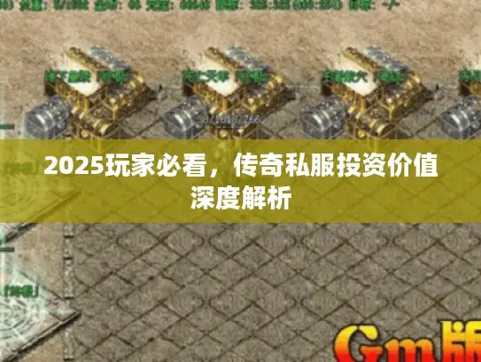 2025玩家必看，传奇私服投资价值深度解析