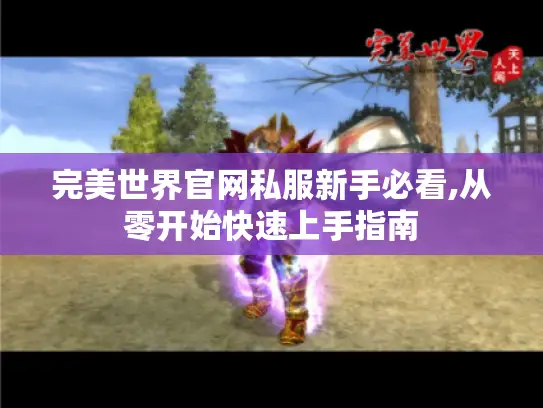 完美世界官网私服新手必看,从零开始快速上手指南 完美世界官网私服新手必看,从零开始快速上手指南