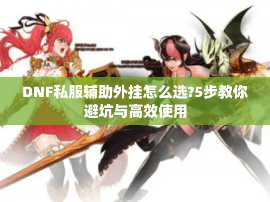 DNF私服辅助外挂怎么选?5步教你避坑与高效使用