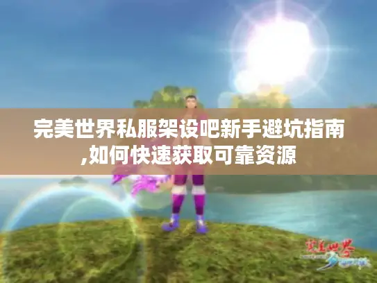 完美世界私服架设吧新手避坑指南,如何快速获取可靠资源