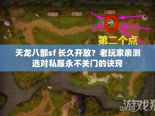 天龙八部sf 长久开放？老玩家亲测选对私服永不关门的诀窍