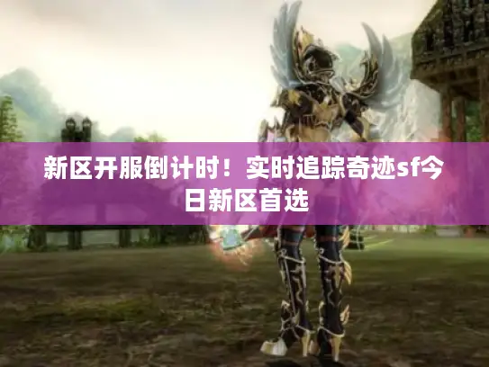 新区开服倒计时！实时追踪奇迹sf今日新区首选