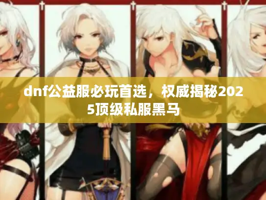 dnf公益服必玩首选，权威揭秘2025顶级私服黑马
