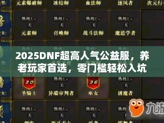 2025DNF超高人气公益服，养老玩家首选，零门槛轻松入坑