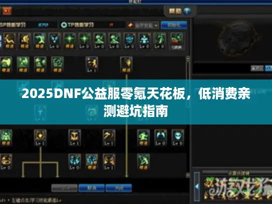 2025DNF公益服零氪天花板，低消费亲测避坑指南