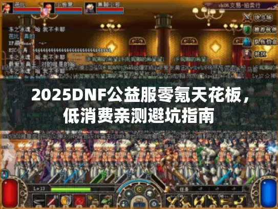 2025DNF公益服零氪天花板，低消费亲测避坑指南