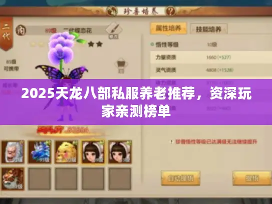 2025天龙八部私服养老推荐，资深玩家亲测榜单