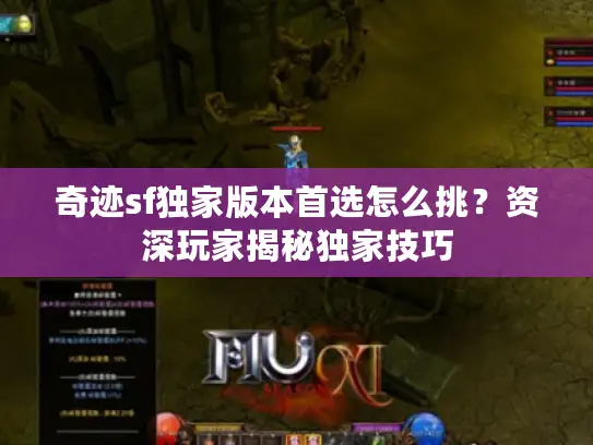 奇迹sf独家版本首选怎么挑？资深玩家揭秘独家技巧