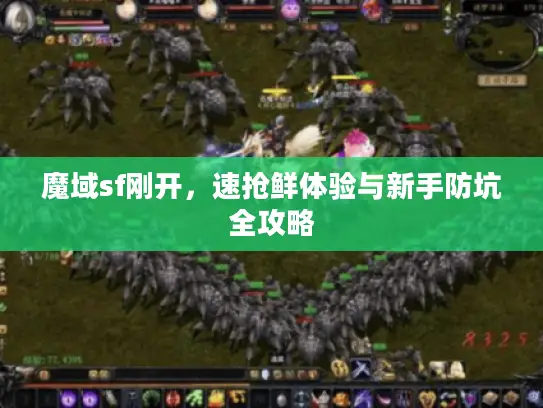 魔域sf刚开，速抢鲜体验与新手防坑全攻略