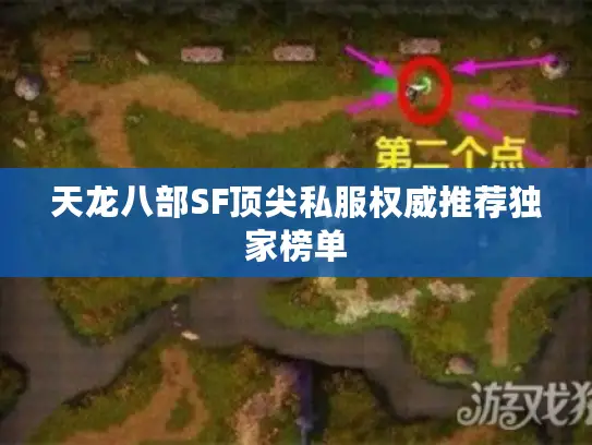 天龙八部SF顶尖私服权威推荐独家榜单