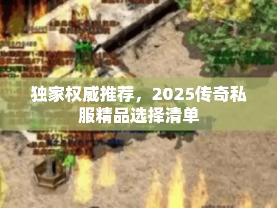 独家权威推荐，2025传奇私服精品选择清单