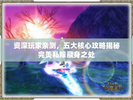 资深玩家亲测，五大核心攻略揭秘完美私服藏身之处