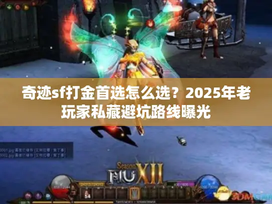 奇迹sf打金首选怎么选？2025年老玩家私藏避坑路线曝光