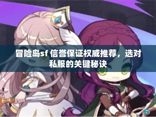 冒险岛sf 信誉保证权威推荐,选对私服的关键秘诀 冒险岛sf 信誉保证权威推荐,选对私服的关键秘诀