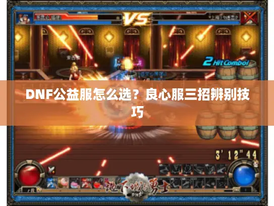 DNF公益服怎么选？良心服三招辨别技巧