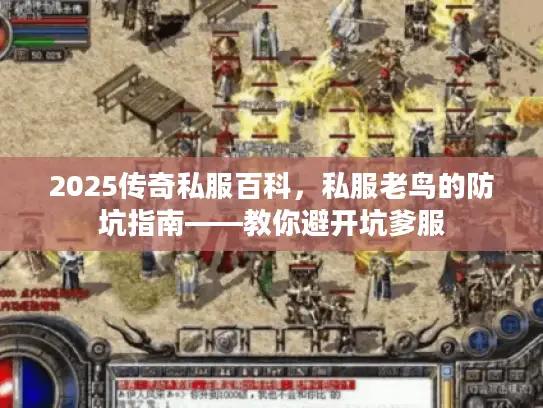 2025传奇私服百科，私服老鸟的防坑指南——教你避开坑爹服