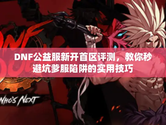 DNF公益服新开首区评测，教你秒避坑爹服陷阱的实用技巧