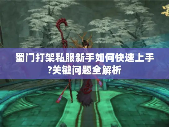 蜀门打架私服新手如何快速上手?关键问题全解析 蜀门打架私服新手如何快速上手?关键问题全解析