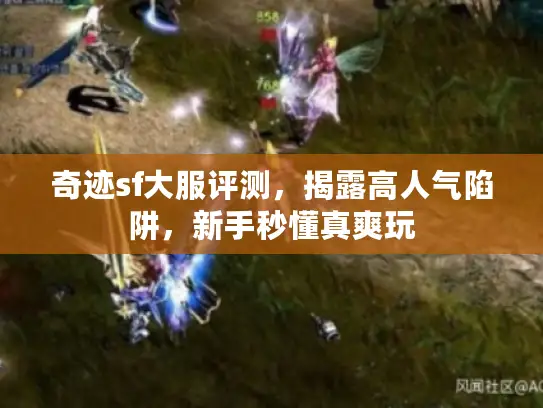 奇迹sf大服评测，揭露高人气陷阱，新手秒懂真爽玩