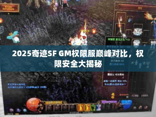 2025奇迹SF GM权限服巅峰对比,权限安全大揭秘 2025奇迹SF GM权限服巅峰对比,权限安全大揭秘