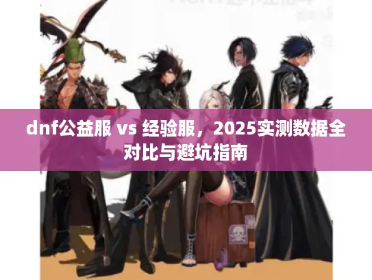 dnf公益服 vs 经验服，2025实测数据全对比与避坑指南